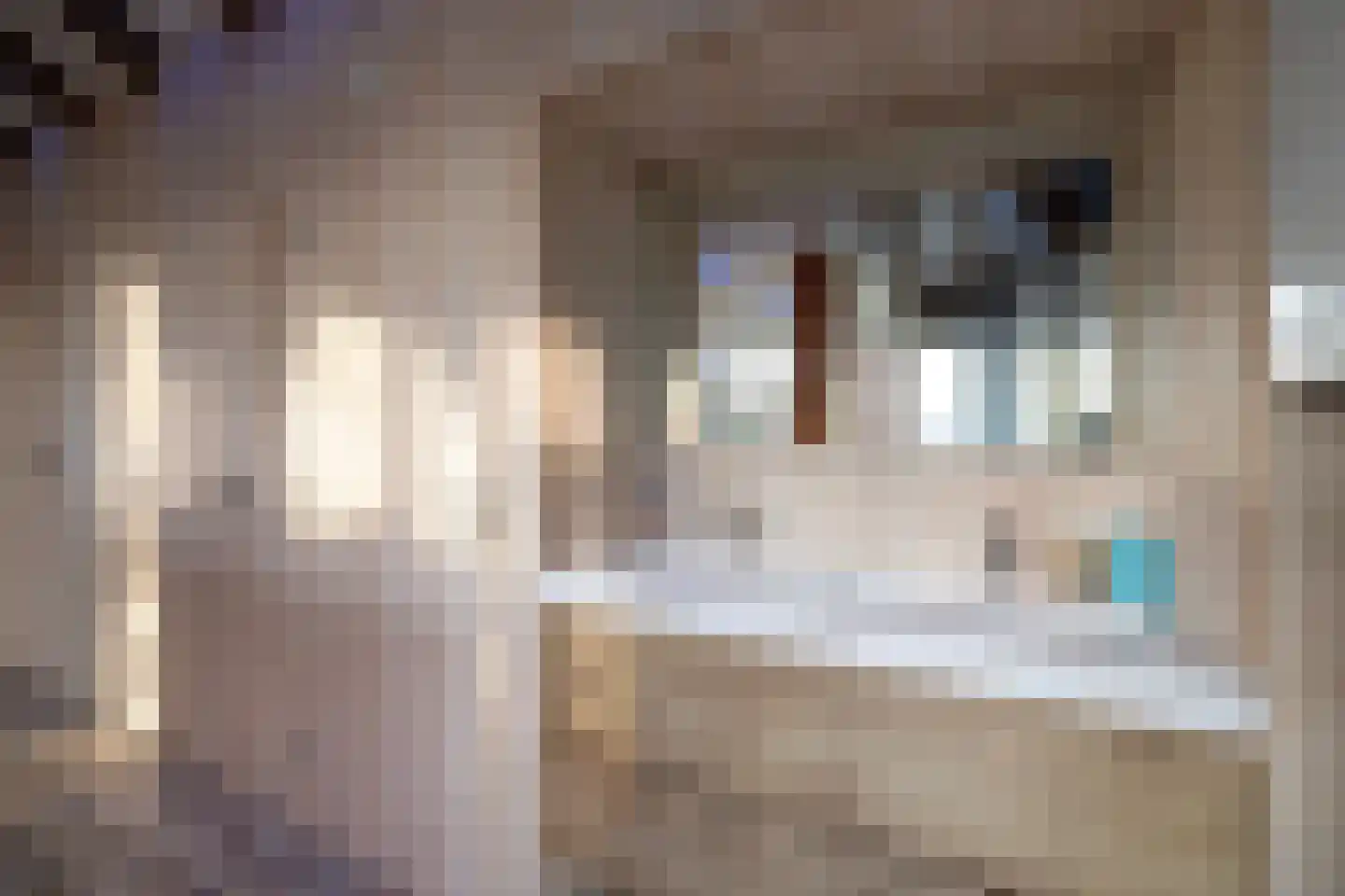 Lutten Oever 7 Balkbrug thumbnail 107