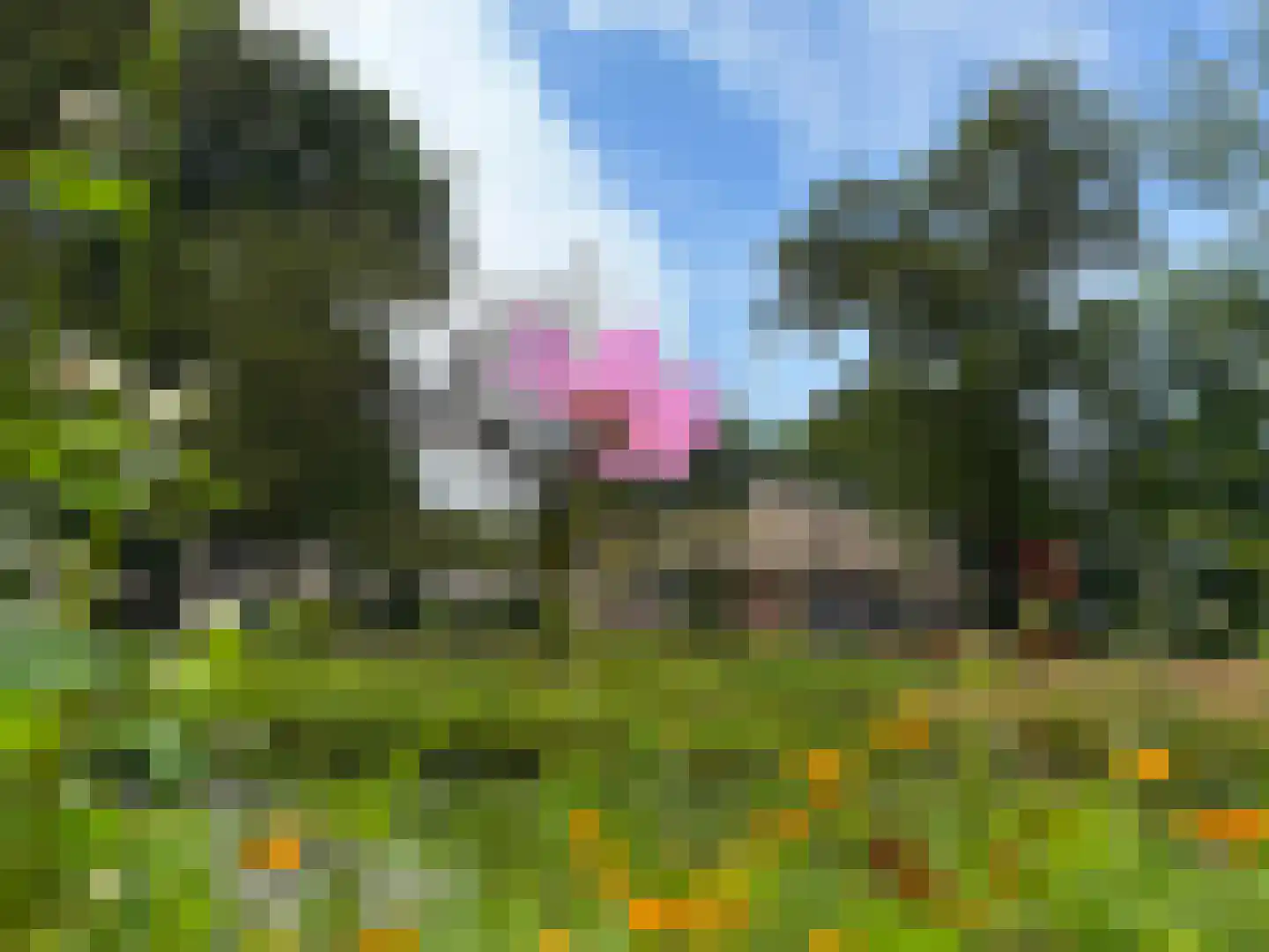 Lutten Oever 7 Balkbrug thumbnail 11
