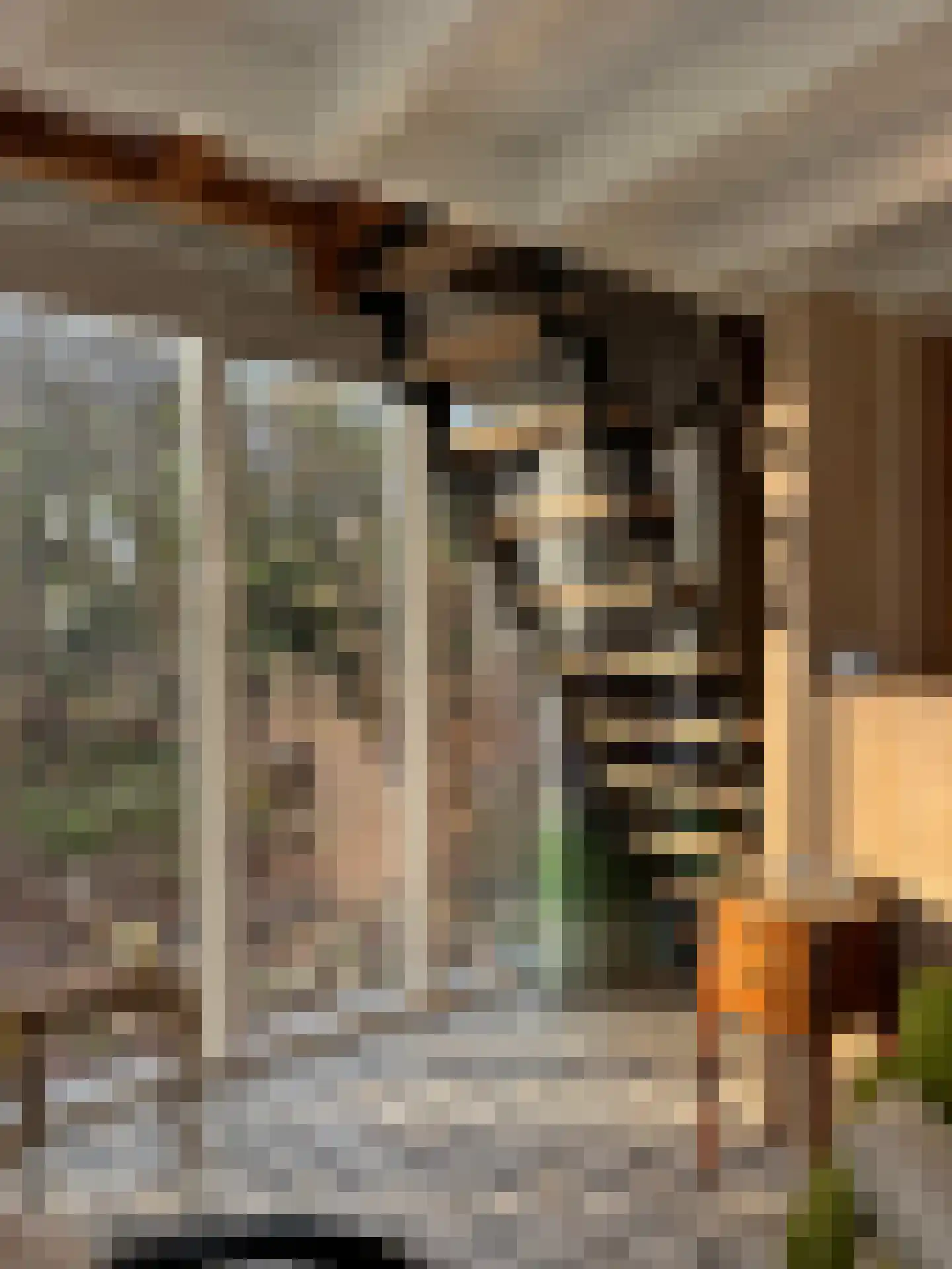 Lutten Oever 7 Balkbrug thumbnail 111