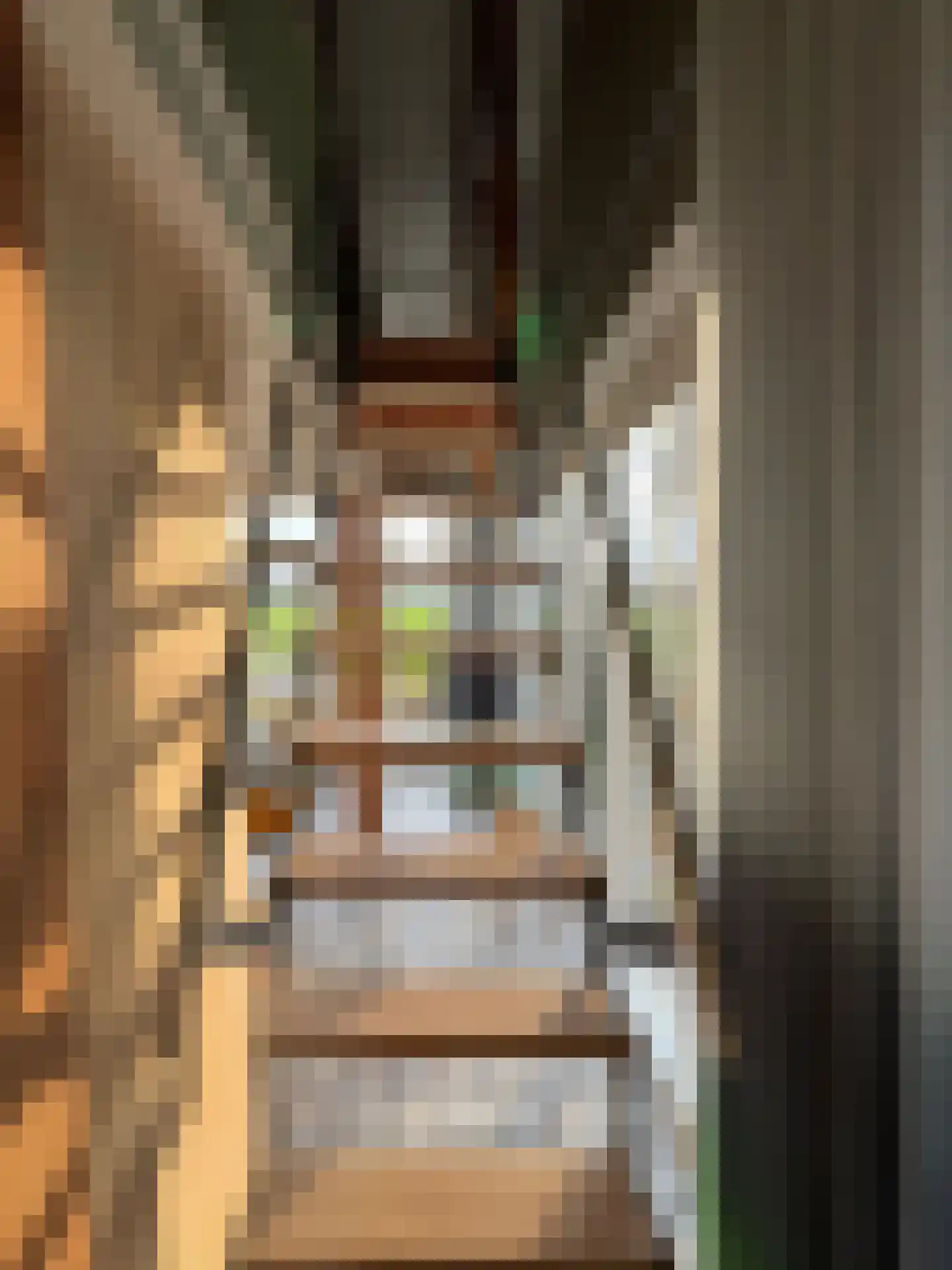 Lutten Oever 7 Balkbrug thumbnail 112