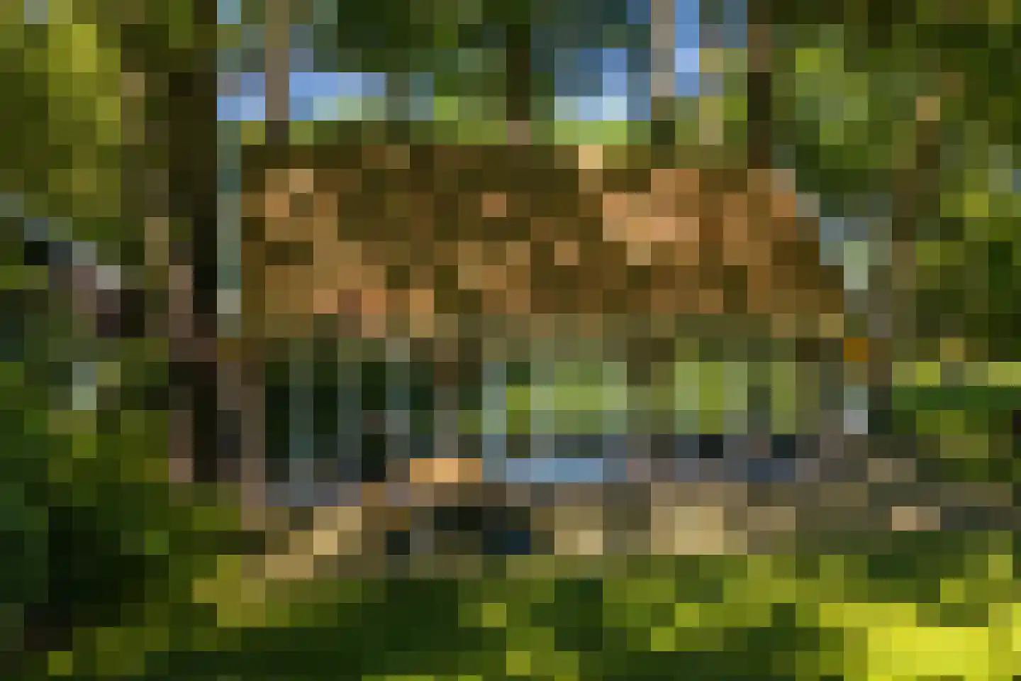 Lutten Oever 7 Balkbrug thumbnail 115
