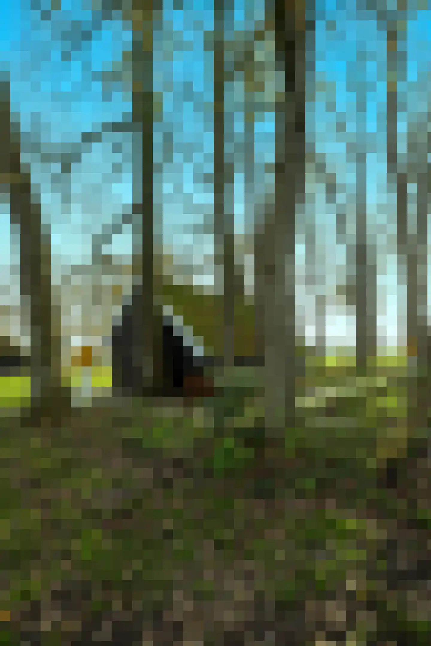 Lutten Oever 7 Balkbrug thumbnail 116