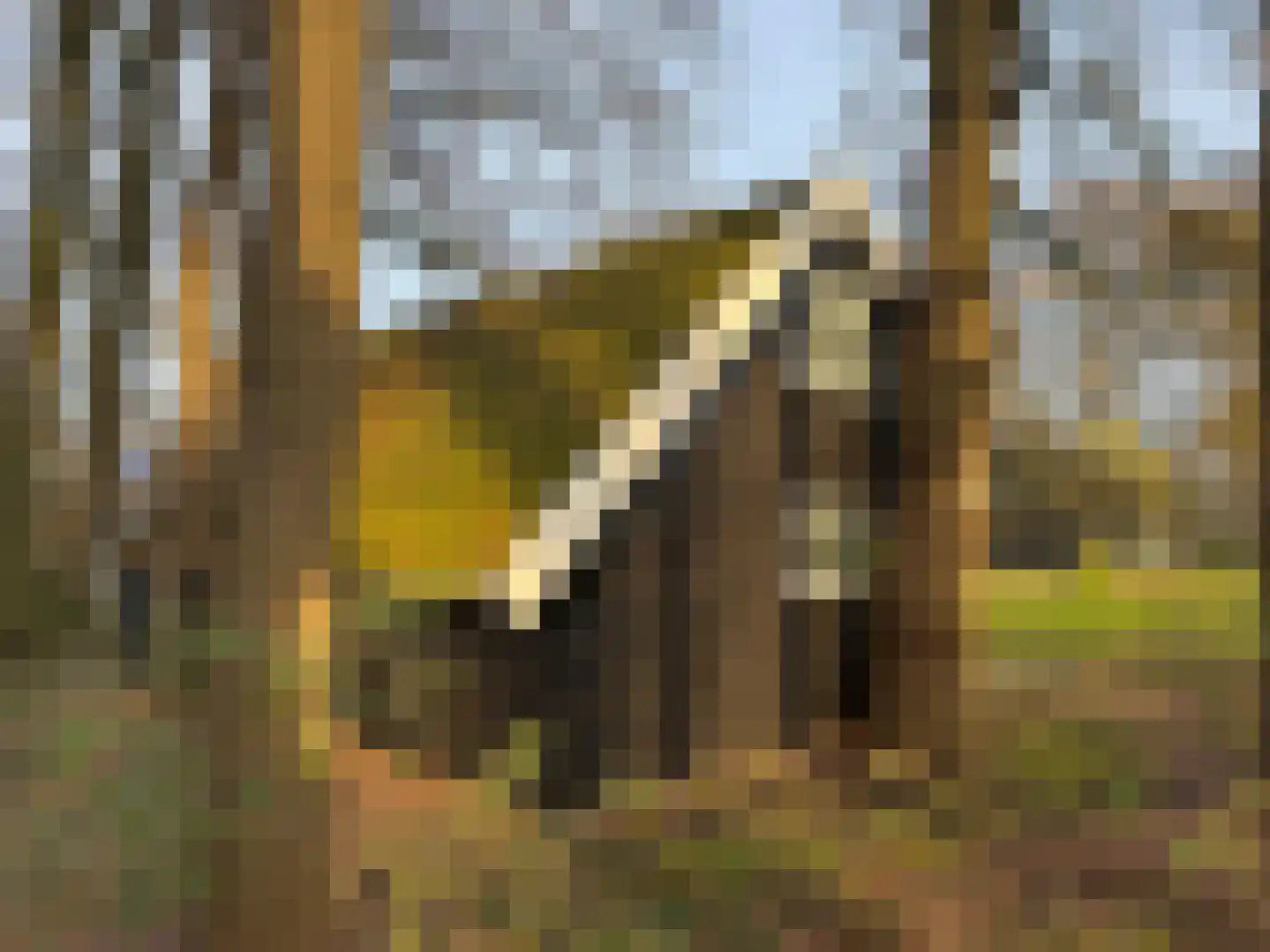 Lutten Oever 7 Balkbrug thumbnail 117
