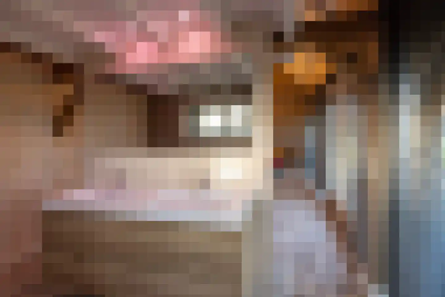 Lutten Oever 7 Balkbrug thumbnail 123