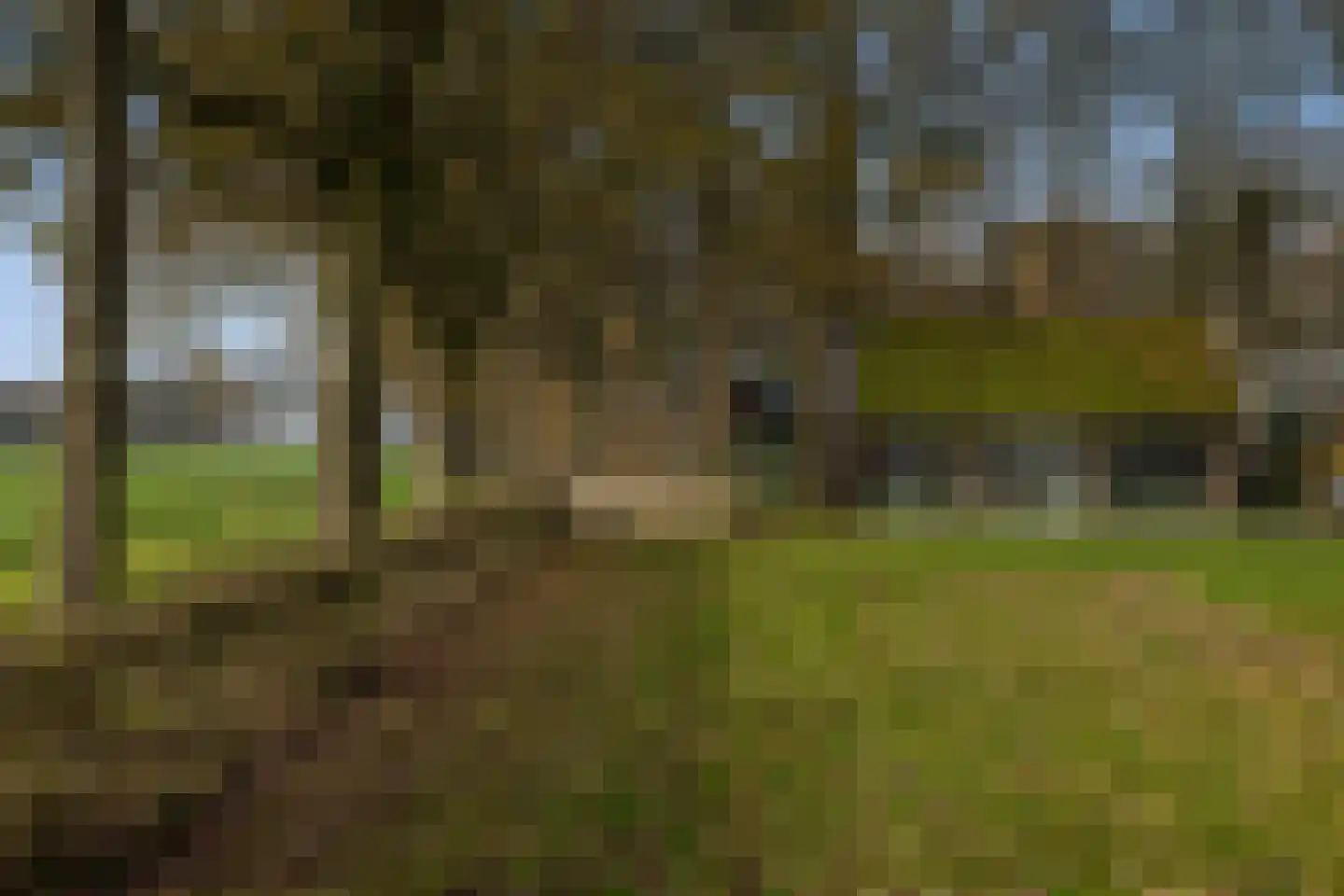 Lutten Oever 7 Balkbrug thumbnail 126