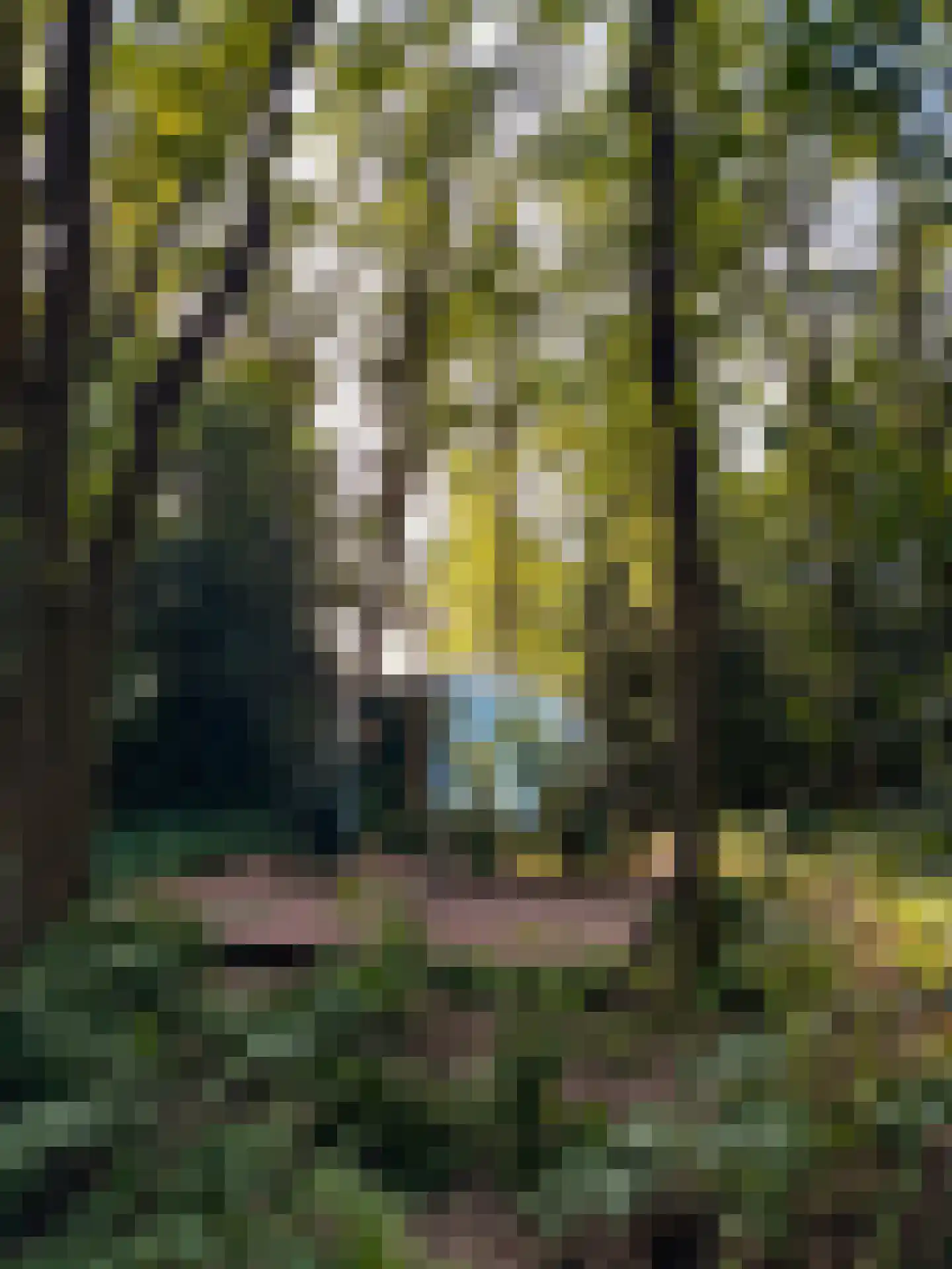 Lutten Oever 7 Balkbrug thumbnail 129