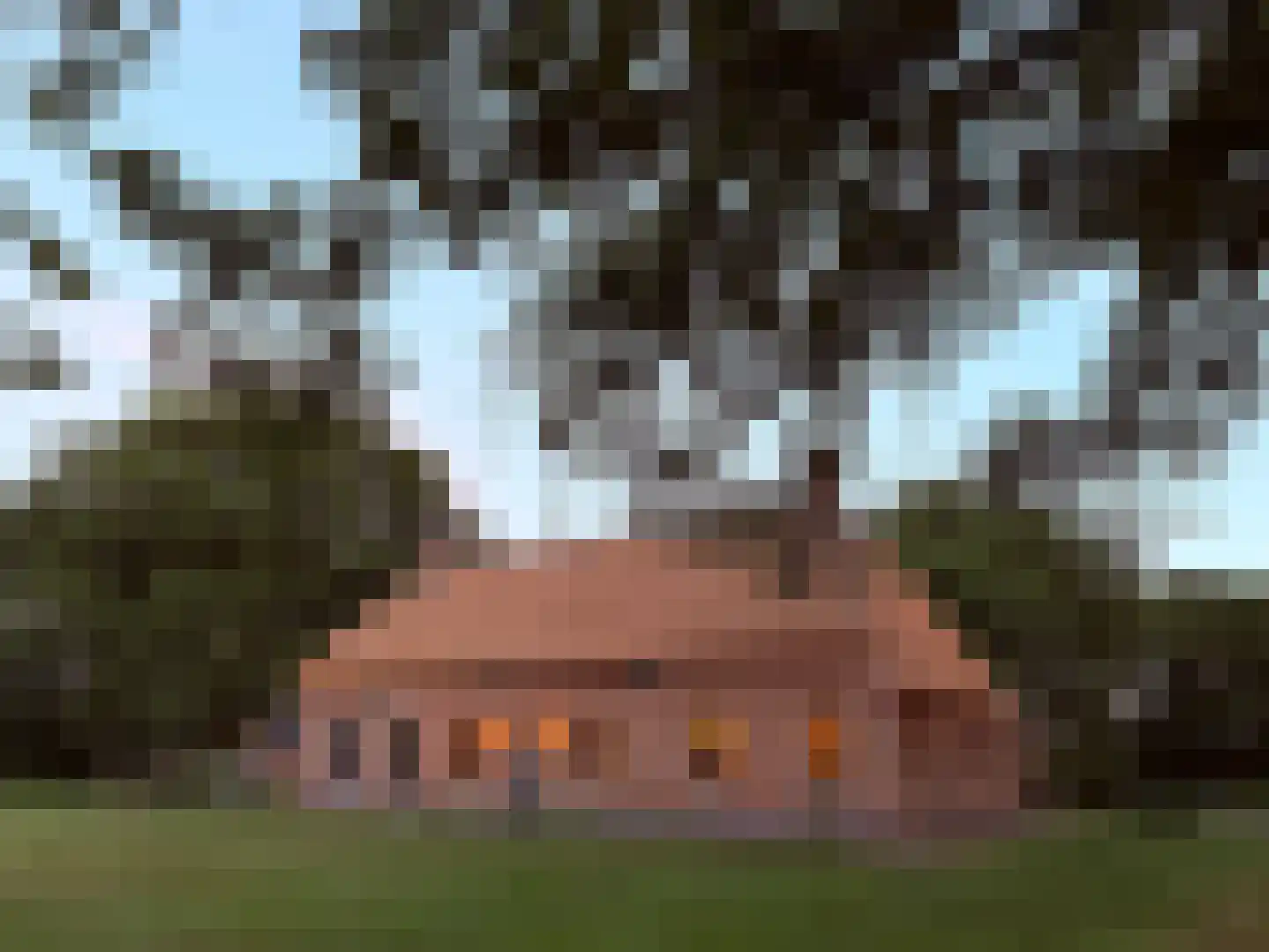 Lutten Oever 7 Balkbrug thumbnail 13