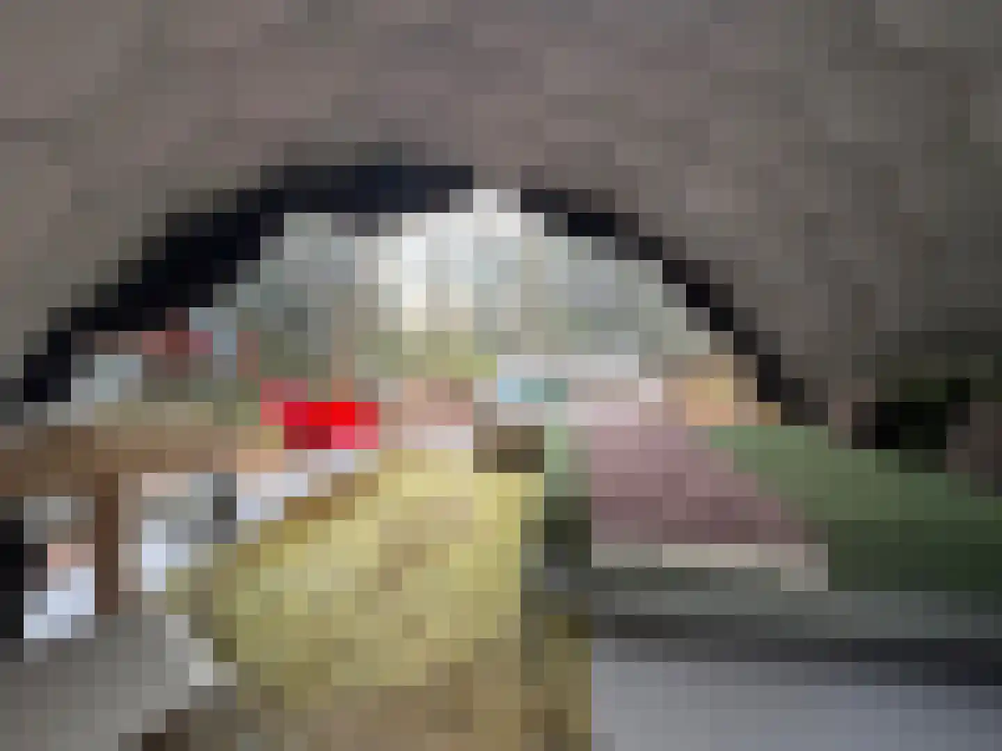 Lutten Oever 7 Balkbrug thumbnail 132