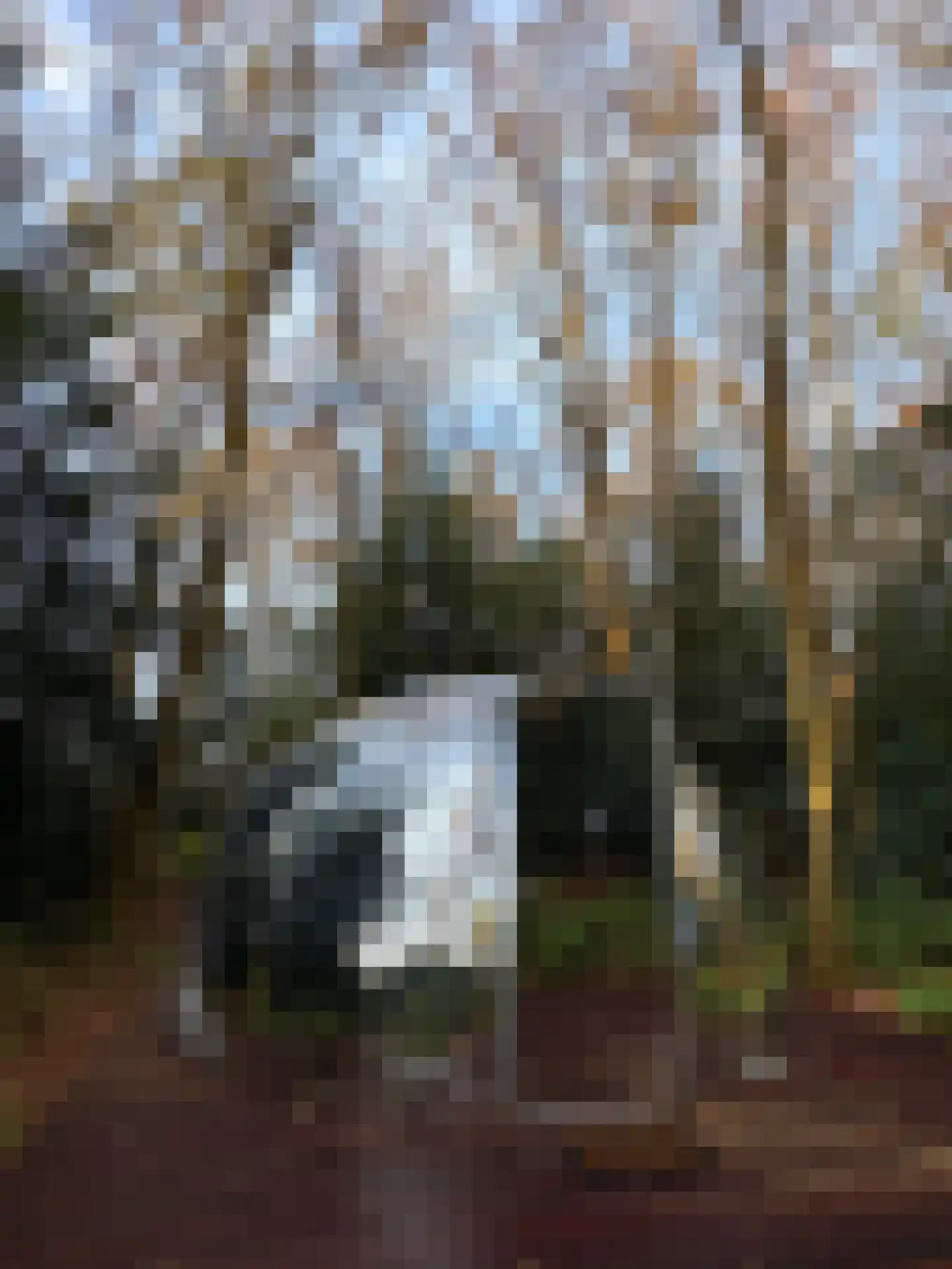 Lutten Oever 7 Balkbrug thumbnail 133