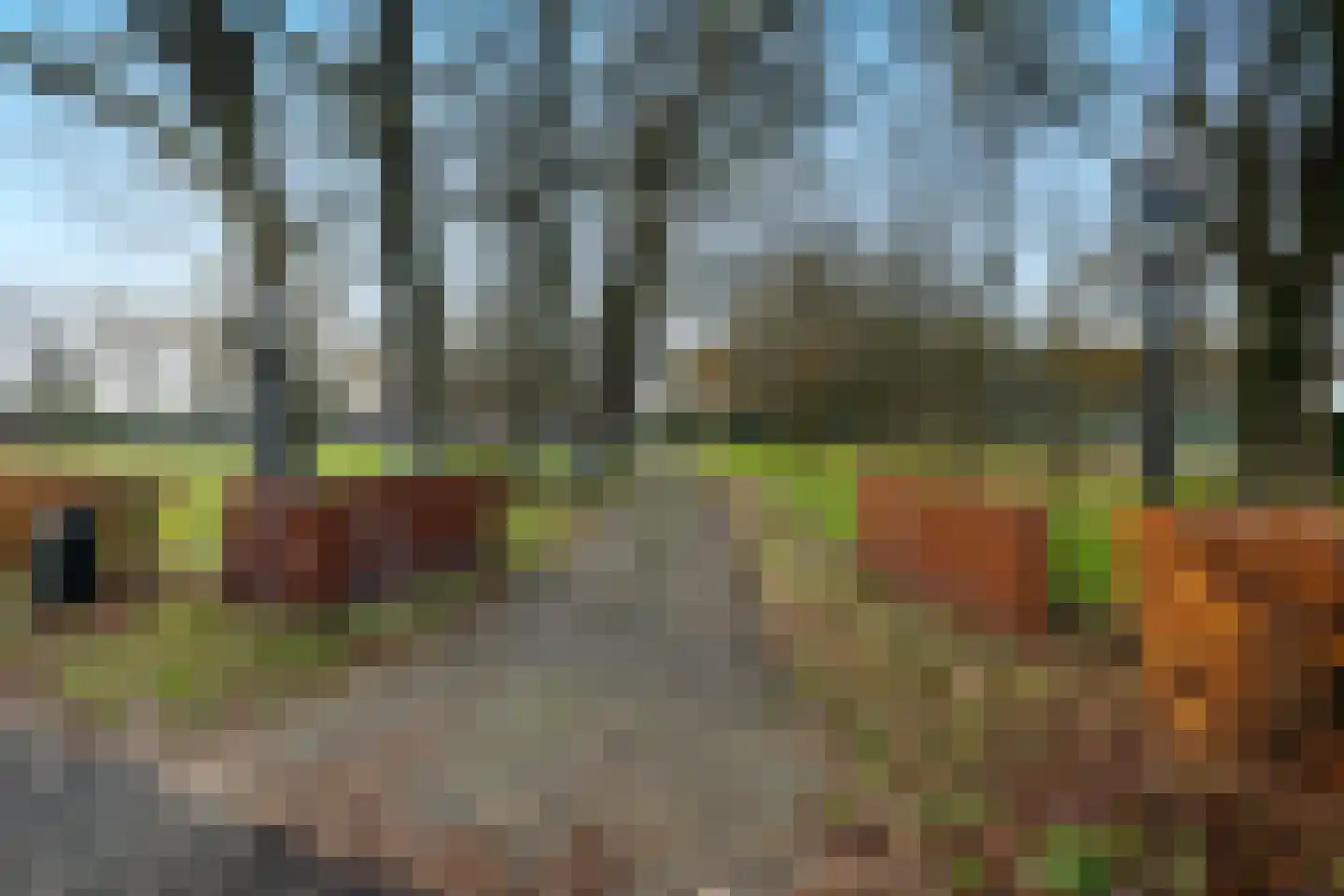 Lutten Oever 7 Balkbrug thumbnail 141