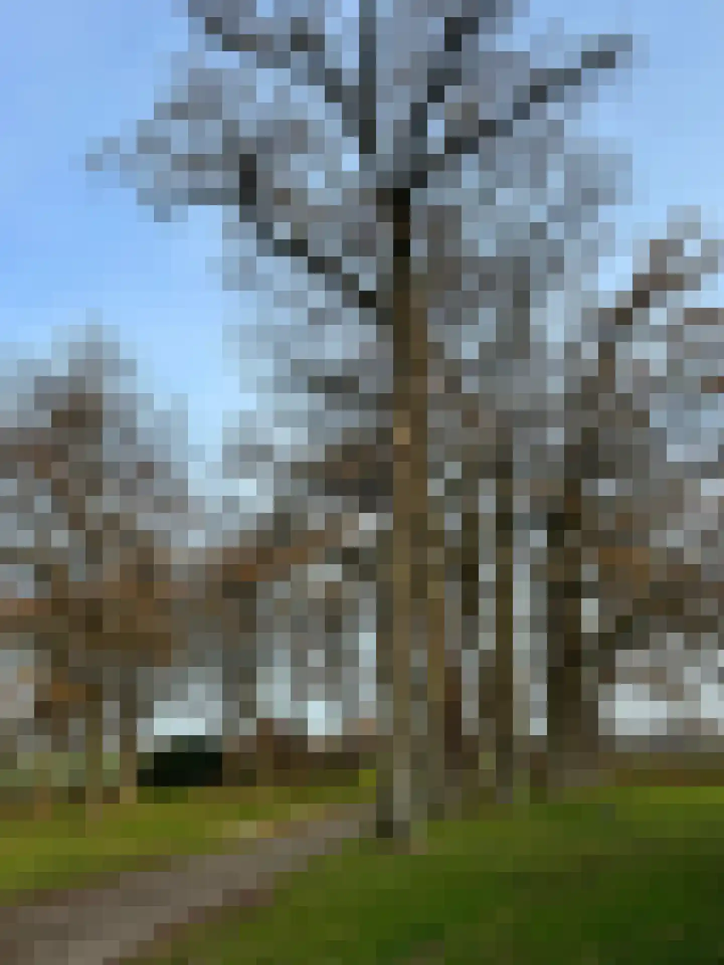 Lutten Oever 7 Balkbrug thumbnail 143