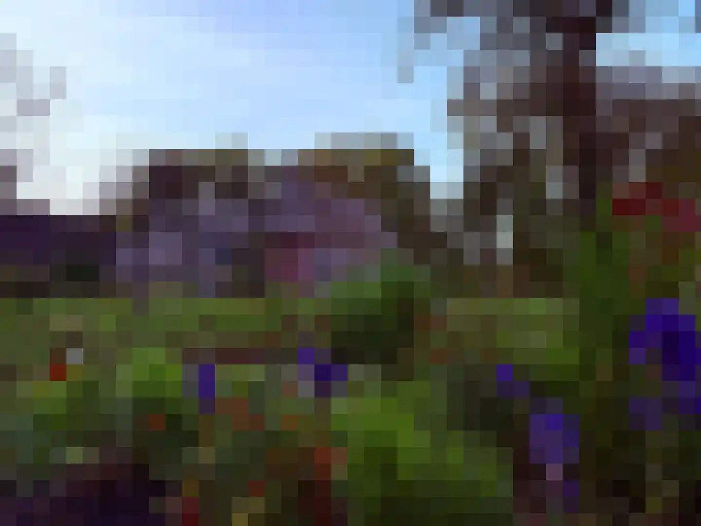 Lutten Oever 7 Balkbrug thumbnail 146