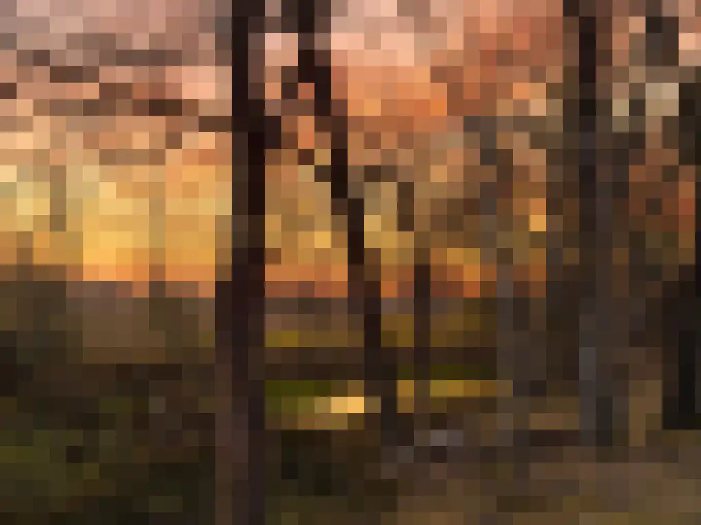 Lutten Oever 7 Balkbrug thumbnail 148