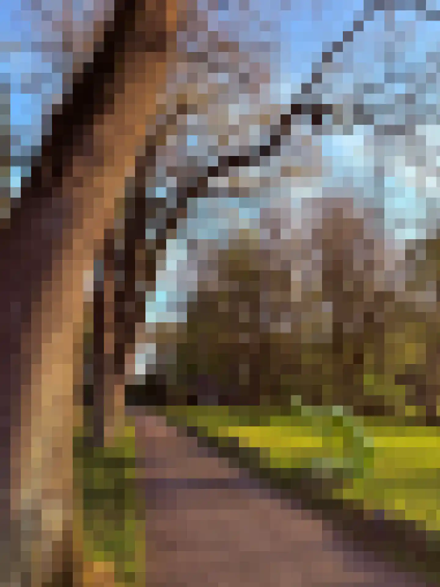 Lutten Oever 7 Balkbrug thumbnail 149