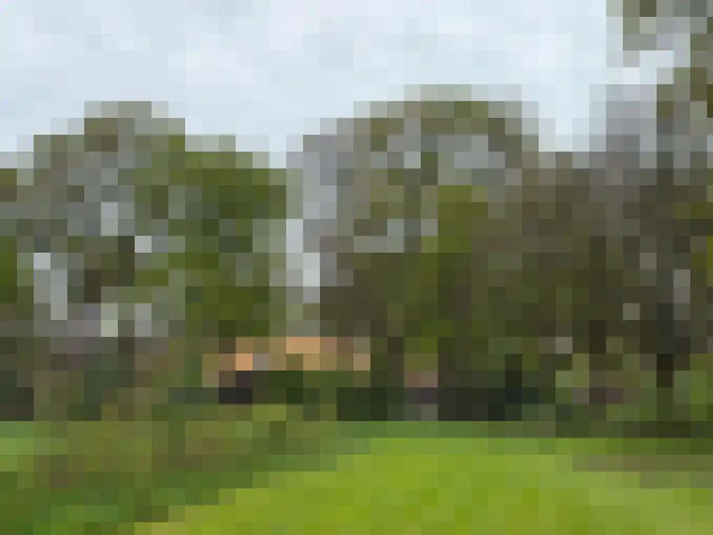Lutten Oever 7 Balkbrug thumbnail 151