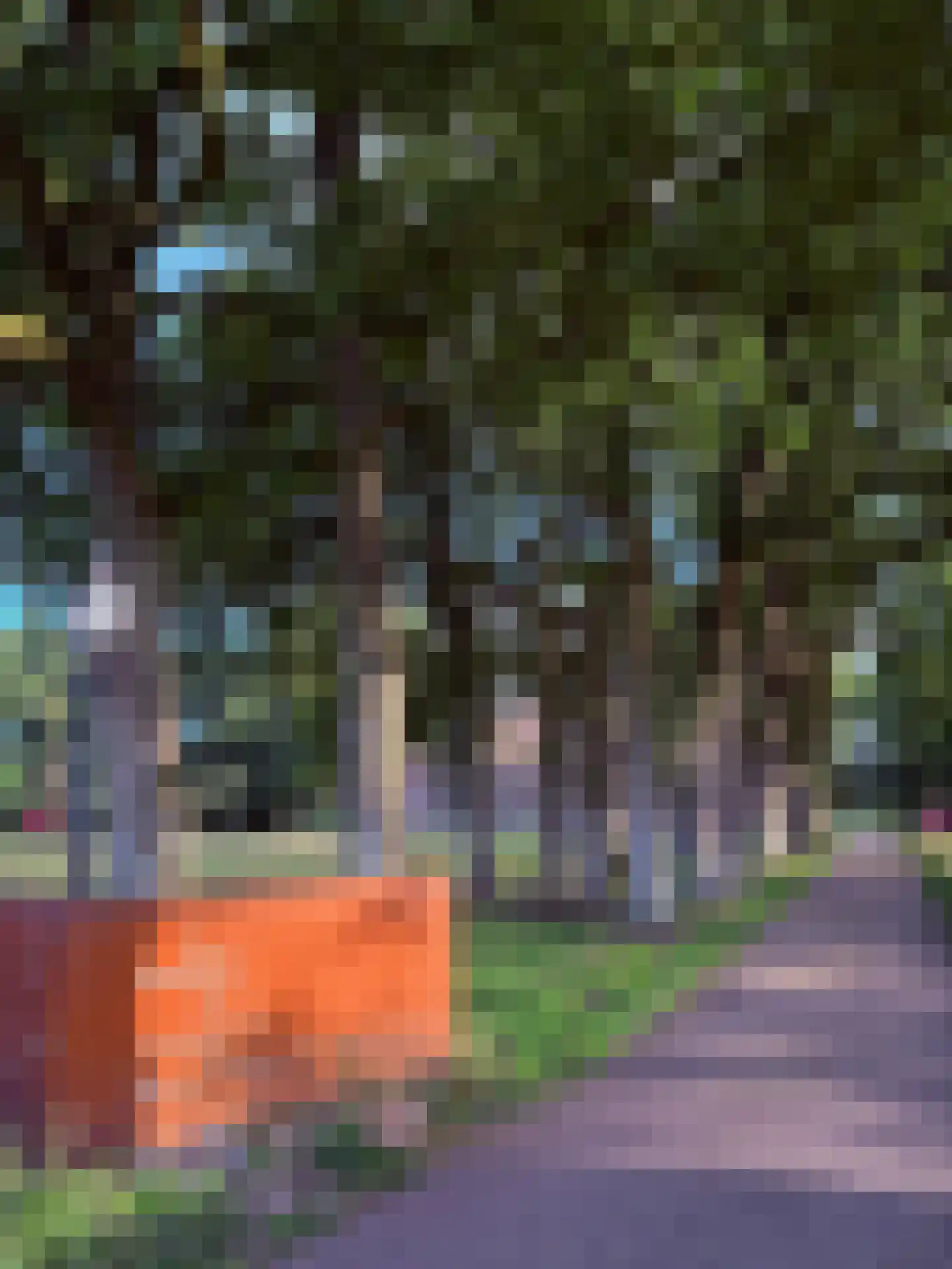 Lutten Oever 7 Balkbrug thumbnail 153