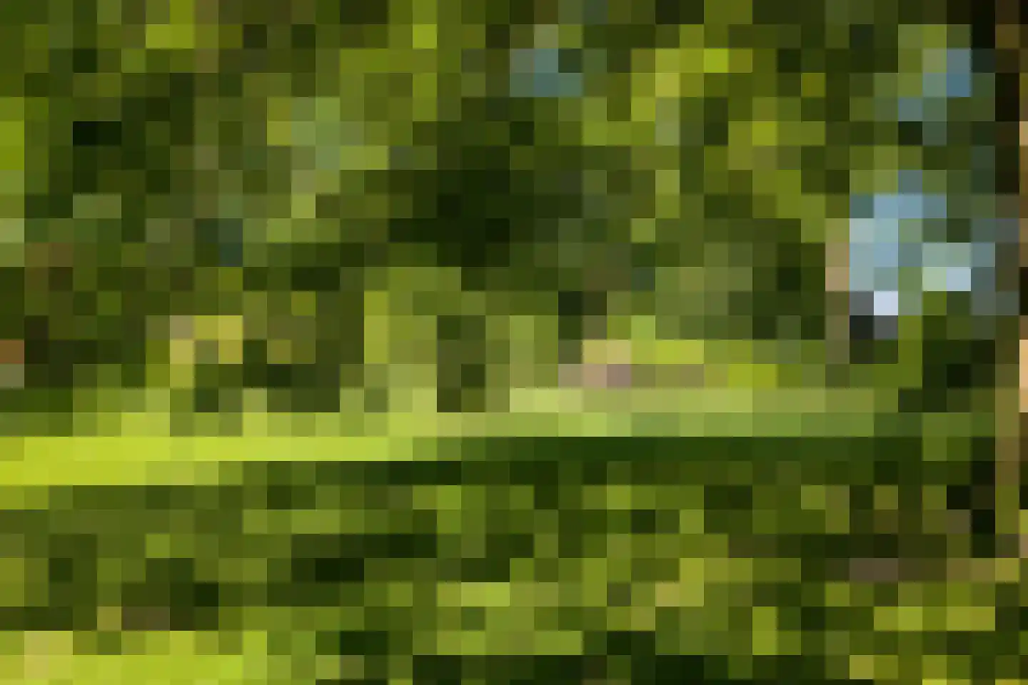 Lutten Oever 7 Balkbrug thumbnail 157