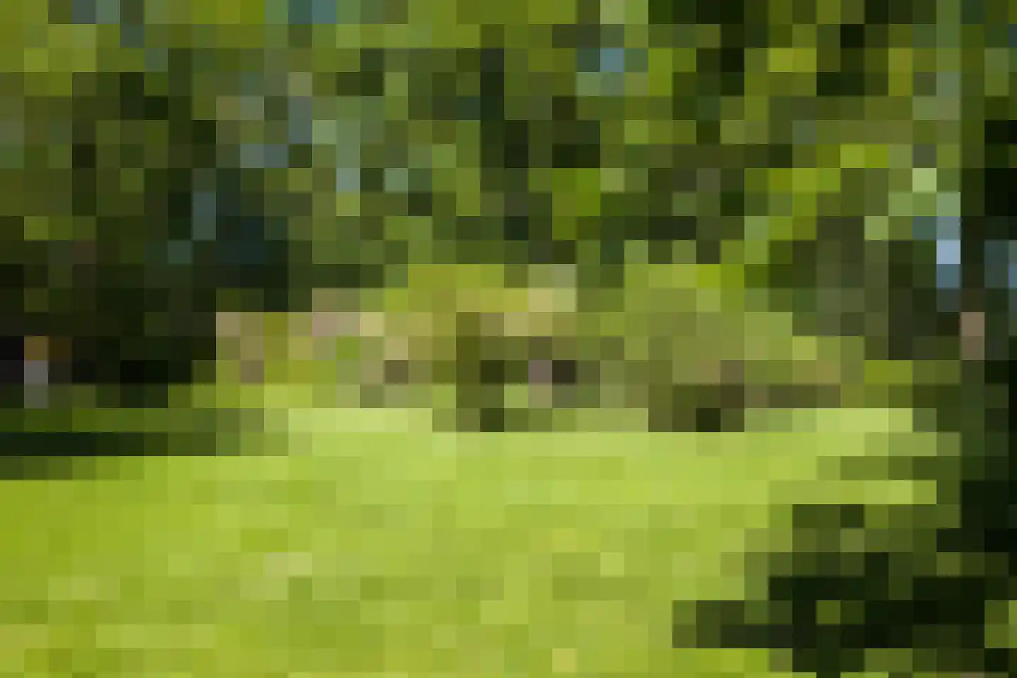 Lutten Oever 7 Balkbrug thumbnail 158