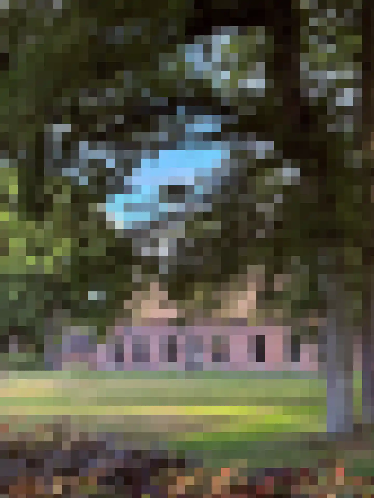 Lutten Oever 7 Balkbrug thumbnail 16