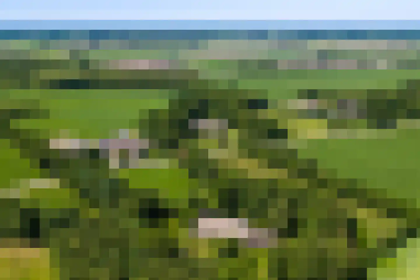 Lutten Oever 7 Balkbrug thumbnail 161
