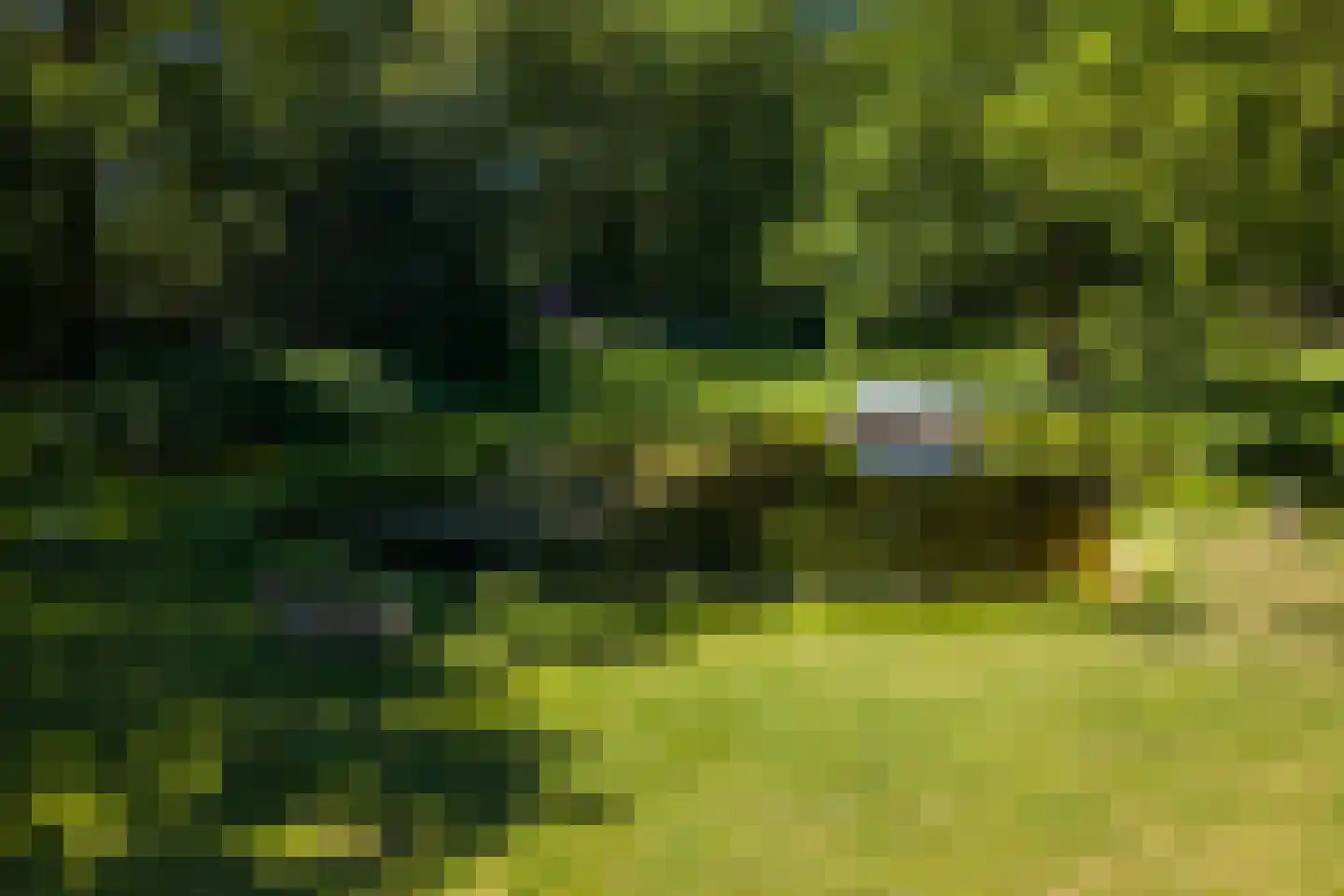 Lutten Oever 7 Balkbrug thumbnail 165