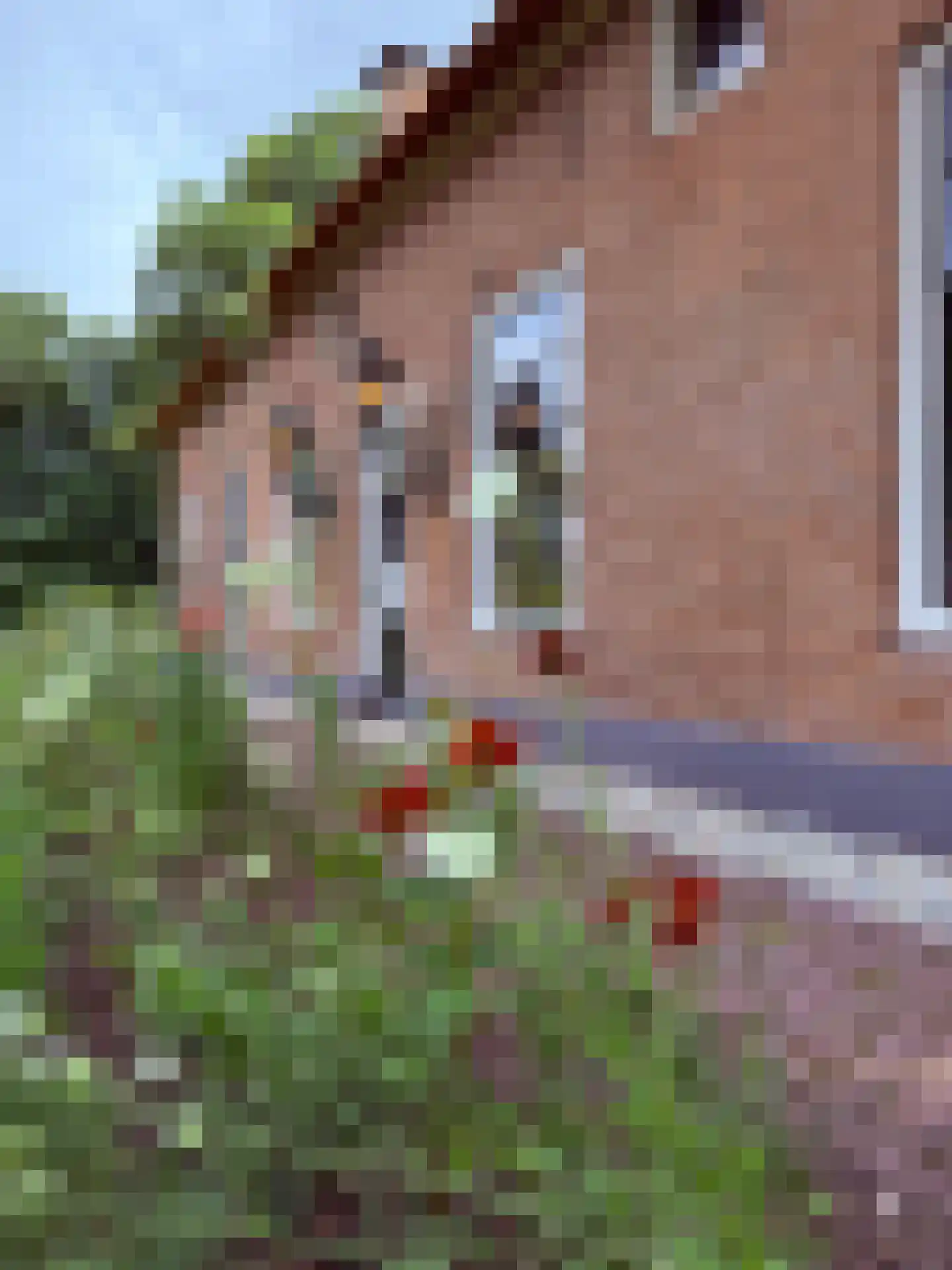 Lutten Oever 7 Balkbrug thumbnail 17