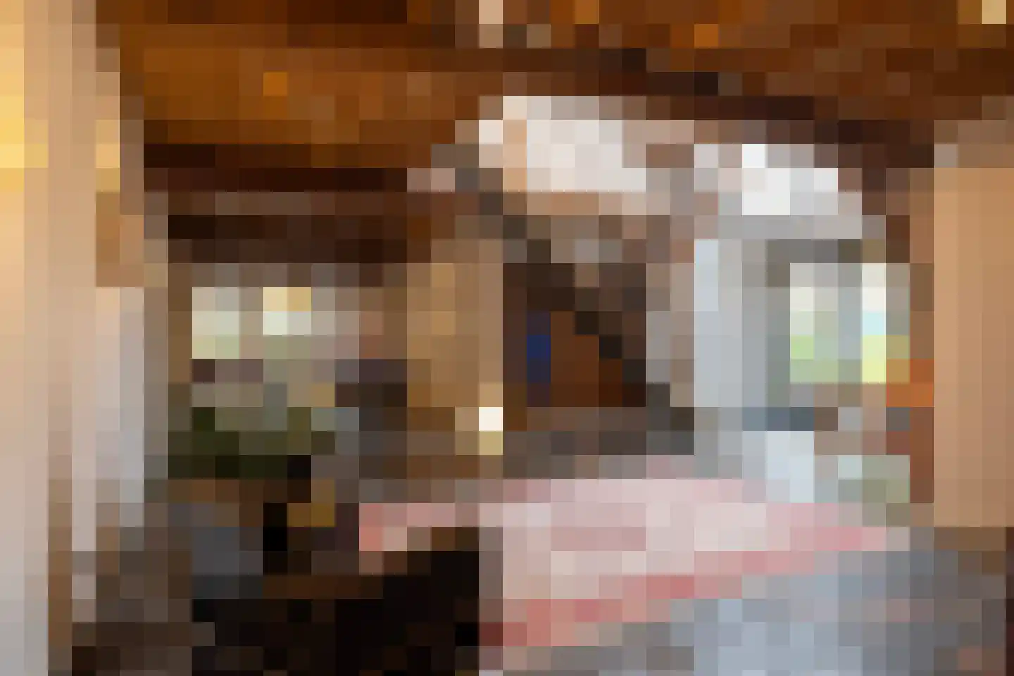 Lutten Oever 7 Balkbrug thumbnail 19