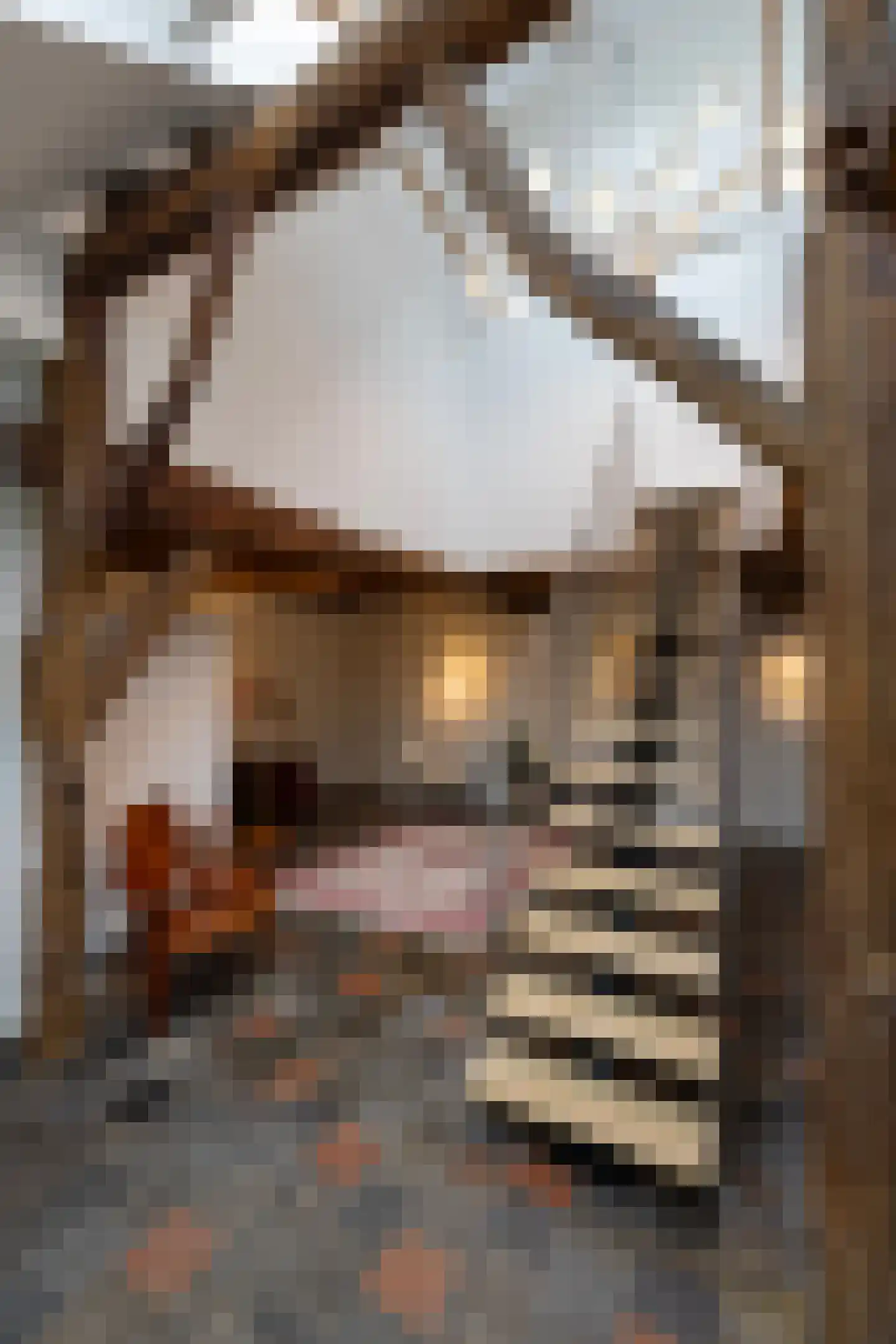 Lutten Oever 7 Balkbrug thumbnail 21