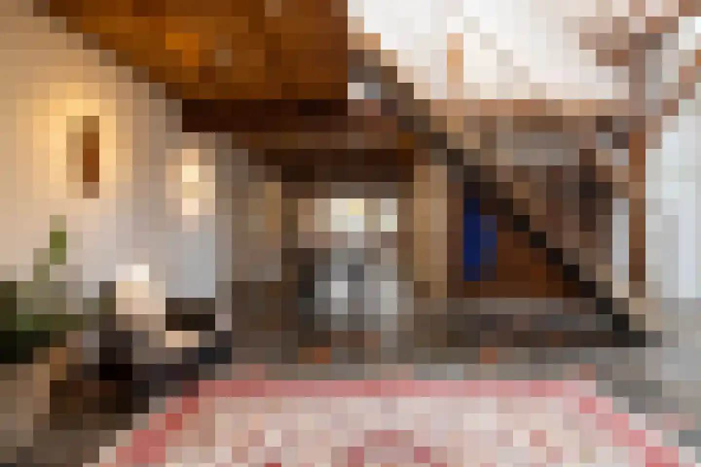 Lutten Oever 7 Balkbrug thumbnail 22