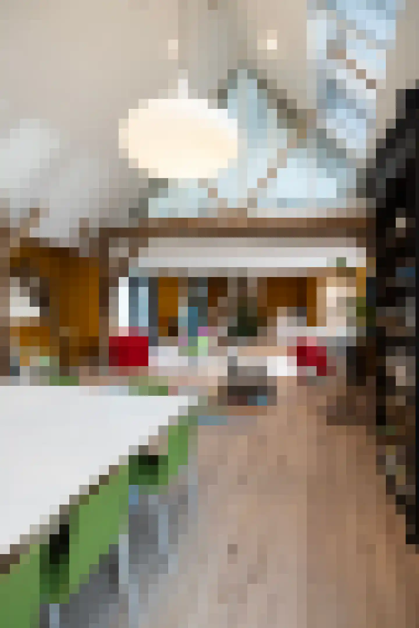 Lutten Oever 7 Balkbrug thumbnail 66