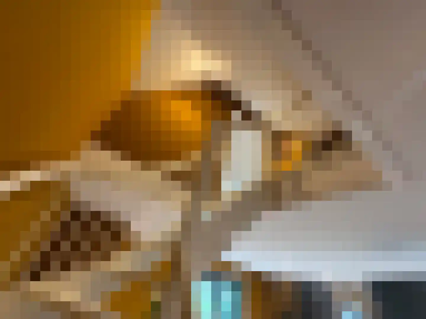 Lutten Oever 7 Balkbrug thumbnail 68