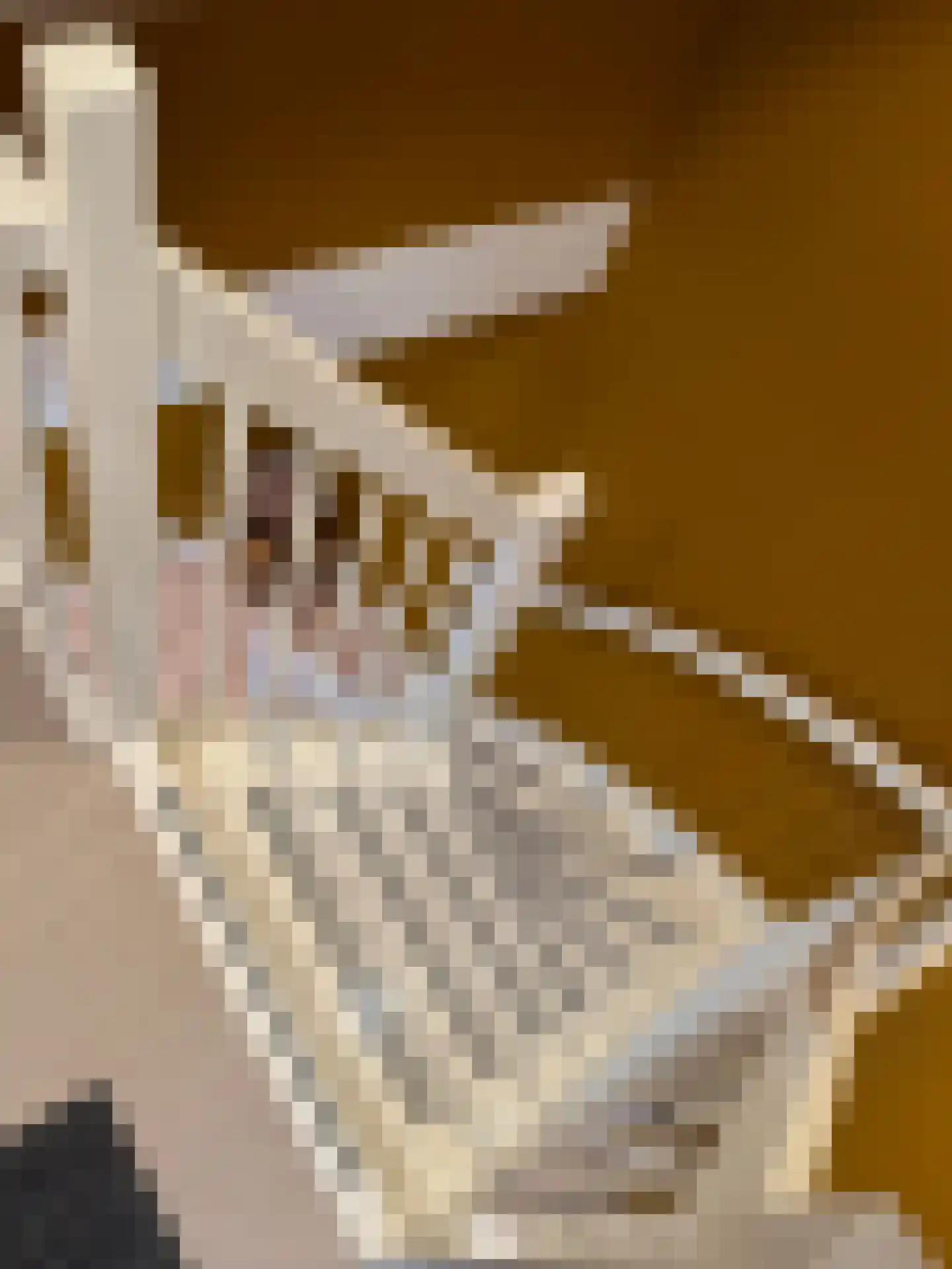 Lutten Oever 7 Balkbrug thumbnail 69
