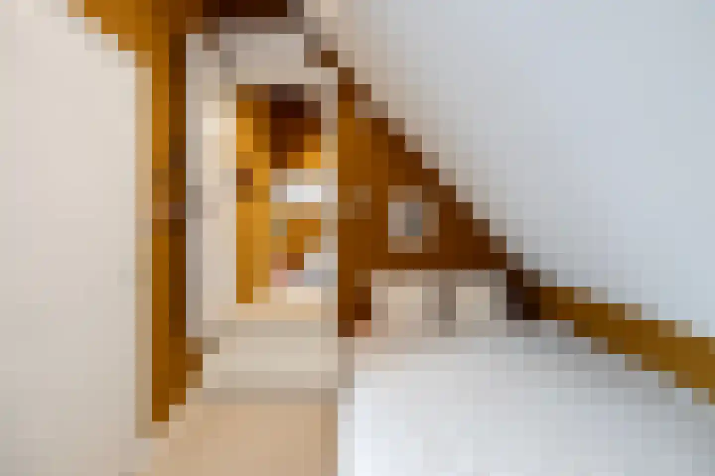 Lutten Oever 7 Balkbrug thumbnail 78