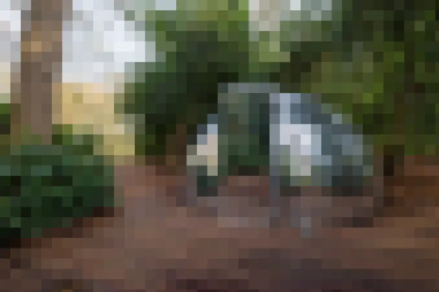 Lutten Oever 7 Balkbrug thumbnail 8
