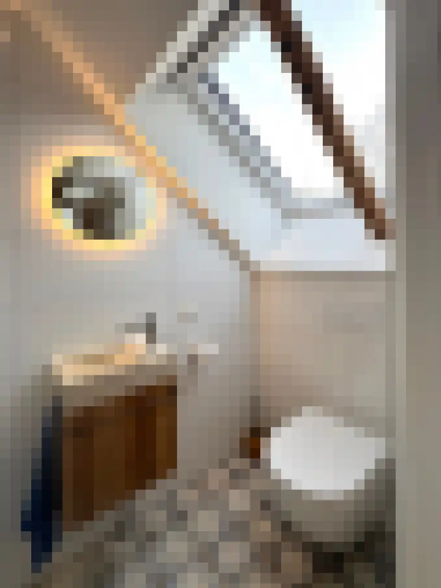 Lutten Oever 7 Balkbrug thumbnail 82