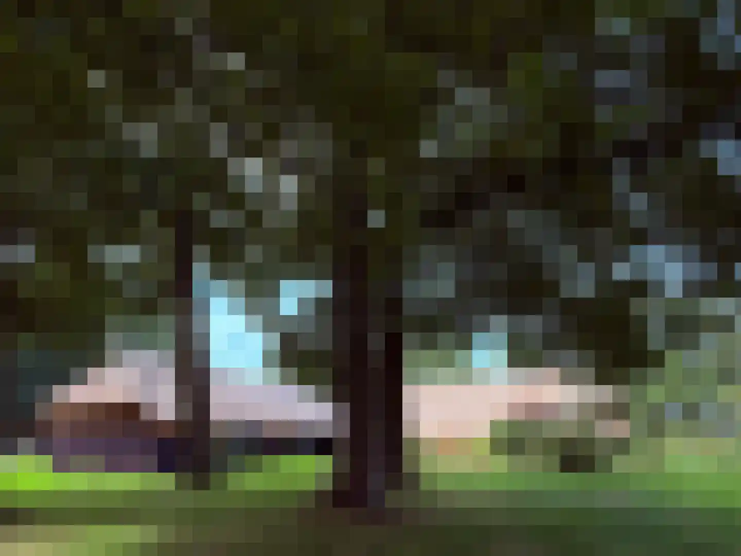 Lutten Oever 7 Balkbrug thumbnail 92