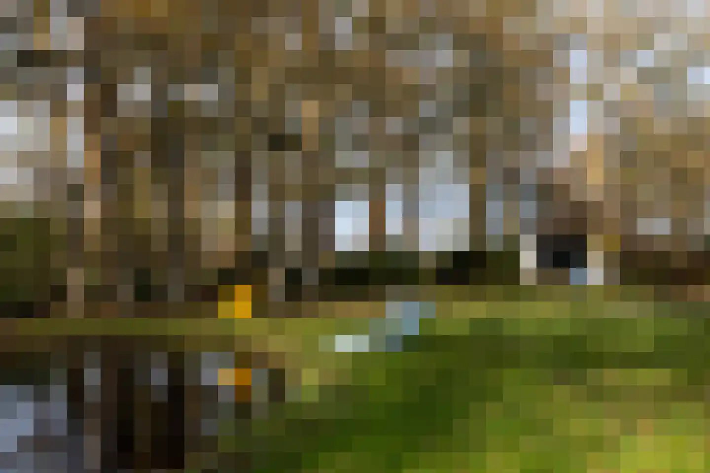 Lutten Oever 7 Balkbrug thumbnail 94