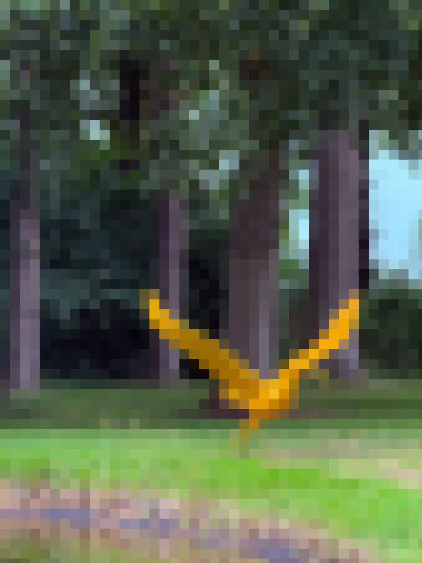 Lutten Oever 7 Balkbrug thumbnail 95