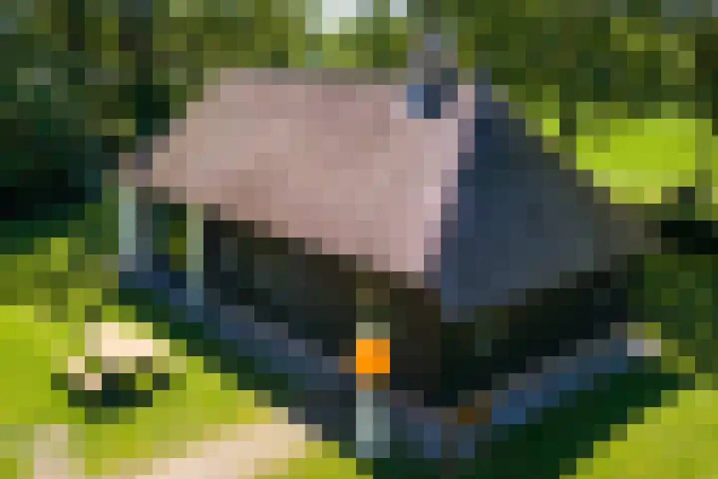 Lutten Oever 7 Balkbrug thumbnail 99