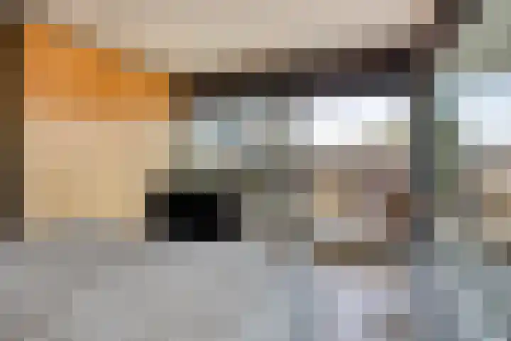 Luttenberg 1 Amersfoort thumbnail 18