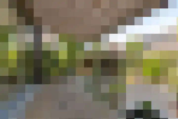 Luttenberg 1 Amersfoort thumbnail 23
