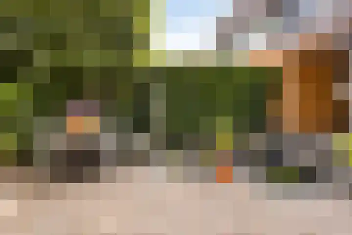 Luttenberg 1 Amersfoort thumbnail 25