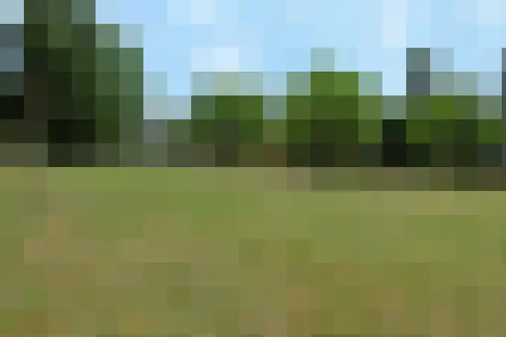 Luttenberg 44 Amersfoort thumbnail 39