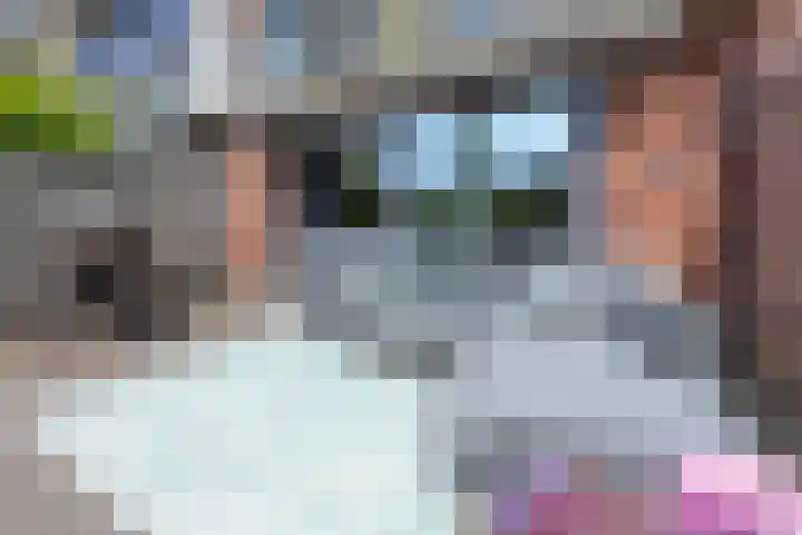 Luttenberg 44 Amersfoort thumbnail 9