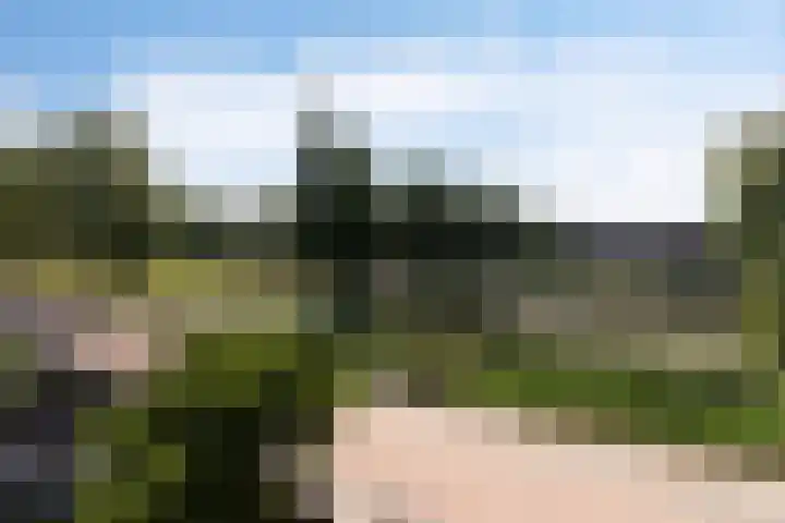 Luttenberg 70 Amersfoort thumbnail 20