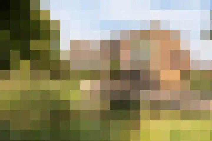 Luttenberg 70 Amersfoort thumbnail 38