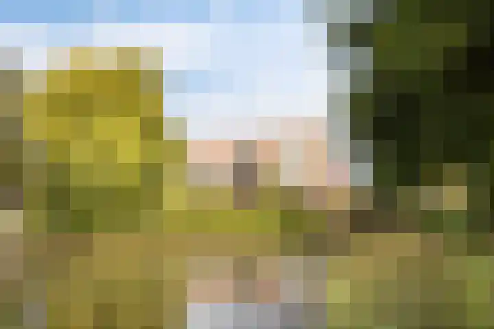 Luttenberg 70 Amersfoort thumbnail 39