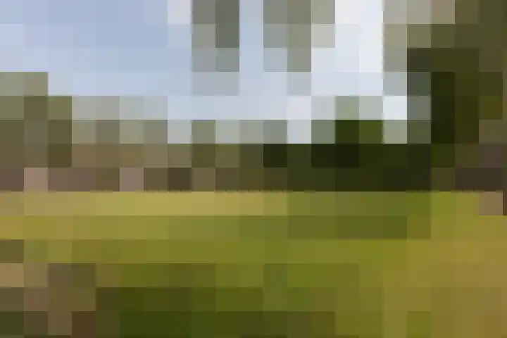 Luttenberg 70 Amersfoort thumbnail 40