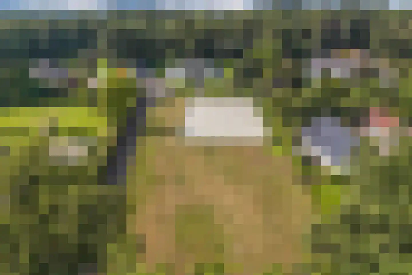 Luttenbergerweg 15 b Luttenberg thumbnail 10