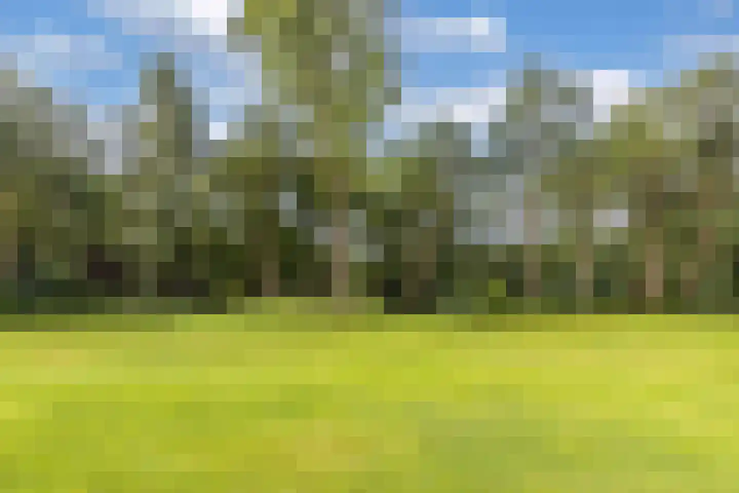 Luttenbergerweg 15 b Luttenberg thumbnail 51